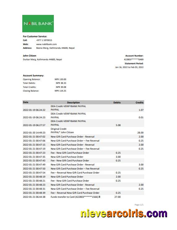 Nepal Nabil bank statement Excel and PDF